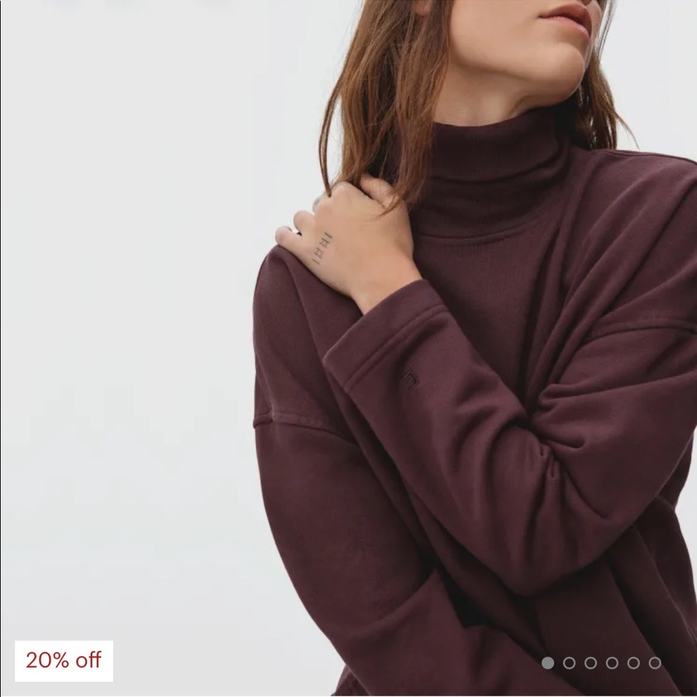 Everlane sweatshirt turtleneck, new with tags